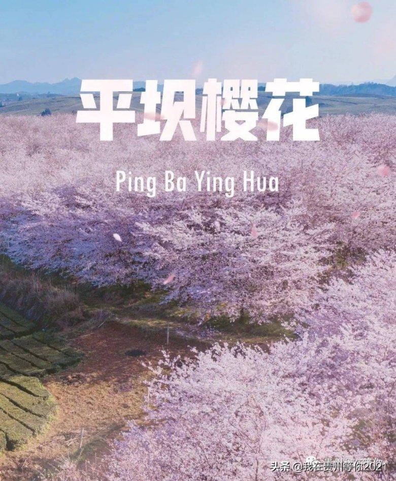 连带责任担保抵押权实现债权的顺序是什么游戏画面