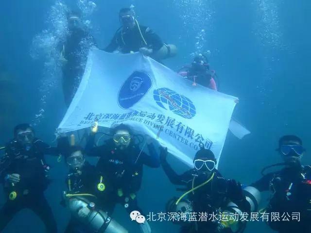 杨雪“杀”入《仙剑四》 婵幽今日正式上线