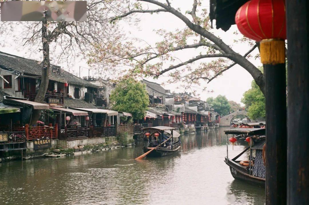 中国烤饼机行业市场行情监测及发展趋向研判分析